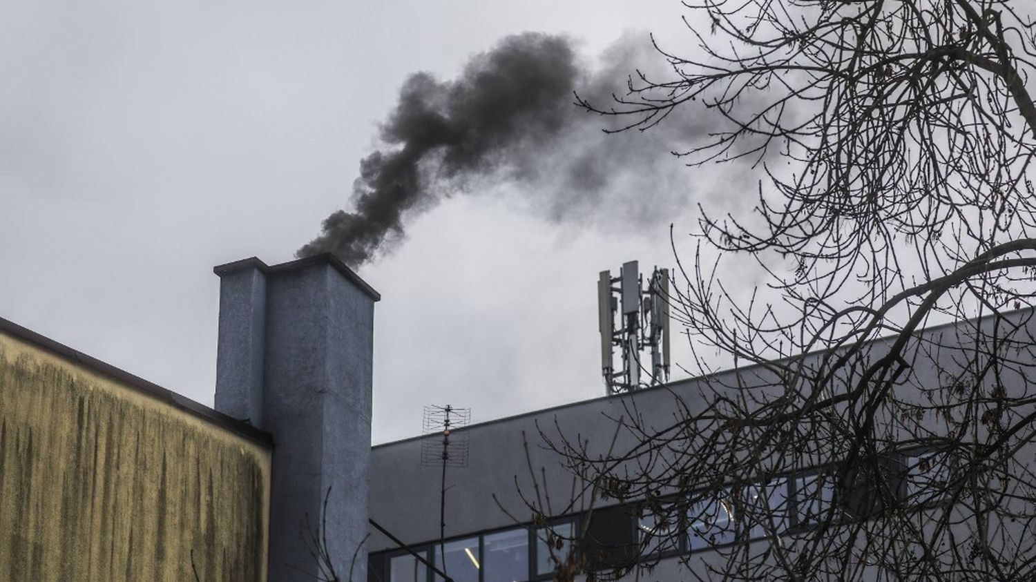 Environment: Air pollution killed at least 238,000 Europeans in 2020
