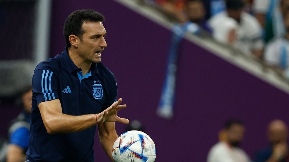 Lionel Scaloni: "You have to have balance when you win and when you lose"
