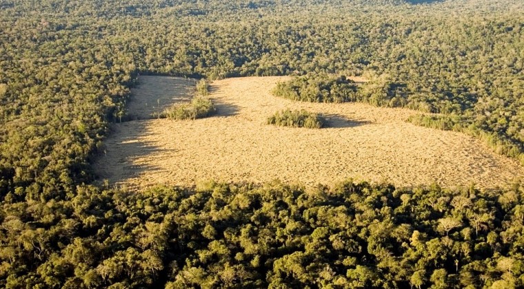 Chaco, deforestación, frontera agropecuaria, cambio climático