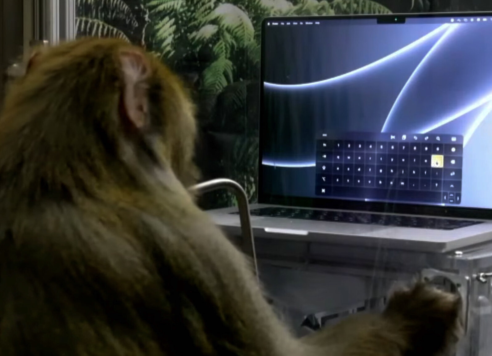 Elon Musk - Neurallink makes a monkey able to type with its mind, but is that a big deal?

