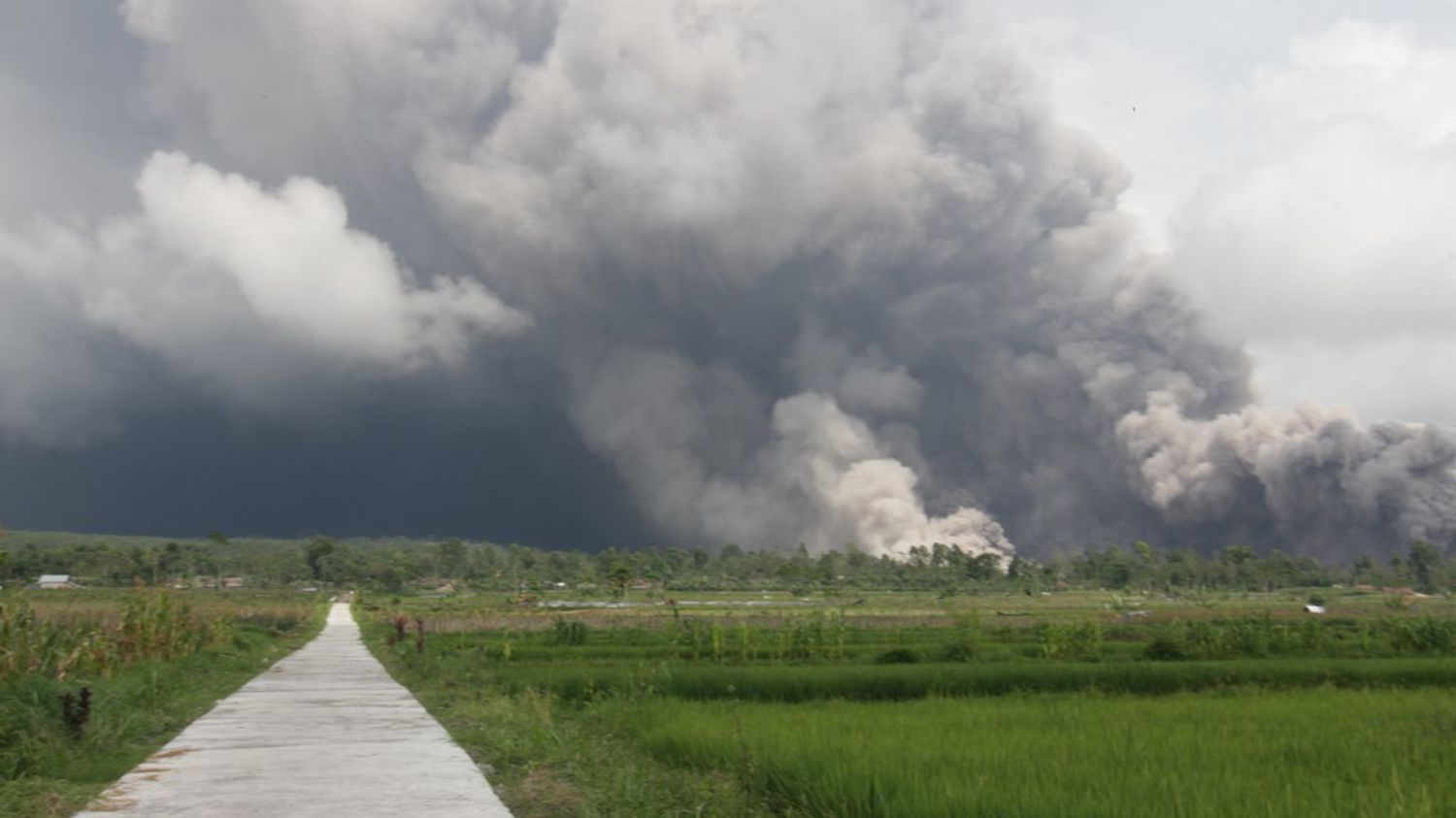 Indonesia: the Semeru volcano erupts, nearly 2,000 people evacuated

