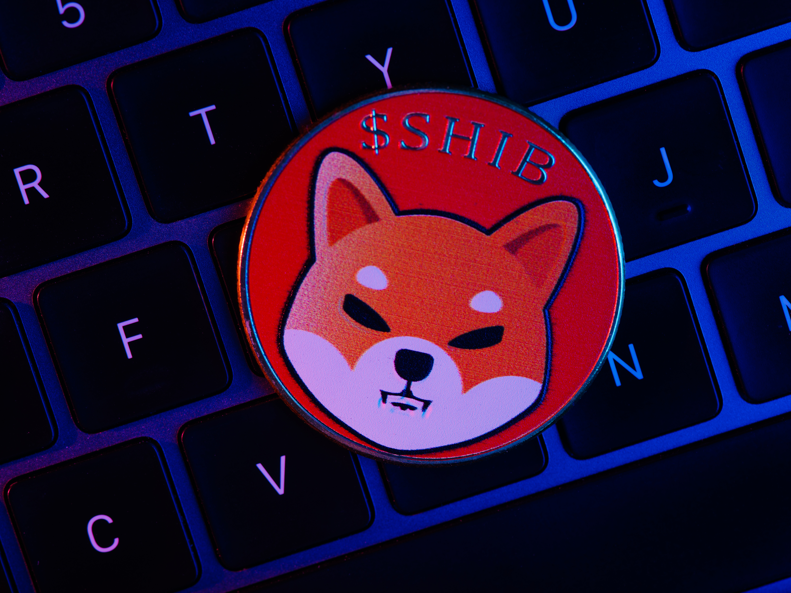 Number of active Shiba Inu addresses exceeds 3 million
