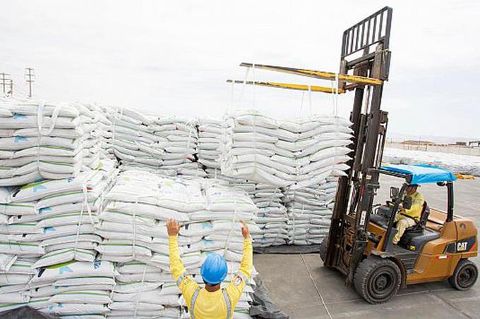 El Gobierno suspende la exportación  de harina