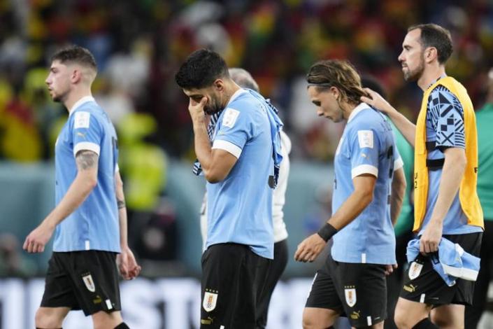 The great signal after the hard and deserved elimination of Uruguay from the World Cup in Qatar
