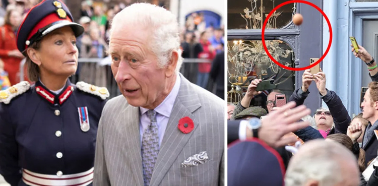 Youth arrested on suspicion of egging Prince Charles
