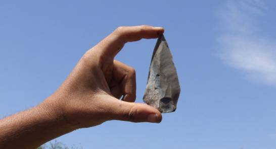 Prehistoric hunter 'knives' from 60,000 years ago recovered in Israel

