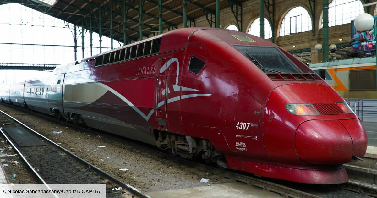 A new railway company arrives in France, here are its first destinations
