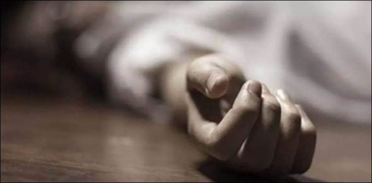 Brutally killed pregnant maid after rape
