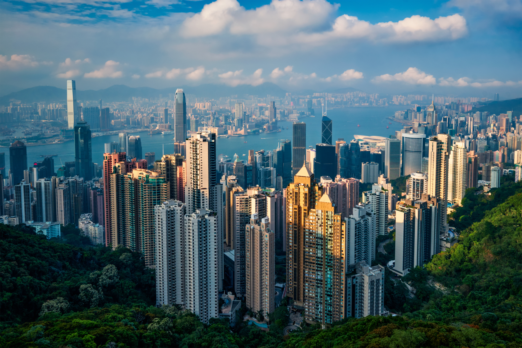 Hong Kong wants to become a crypto hub despite the crisis in the industry
