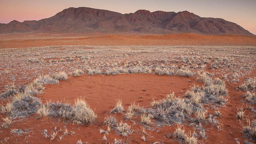 círculos de hadas, desierto de namibia, pastos, ecosistemas, ecosistemas áridos, desierto