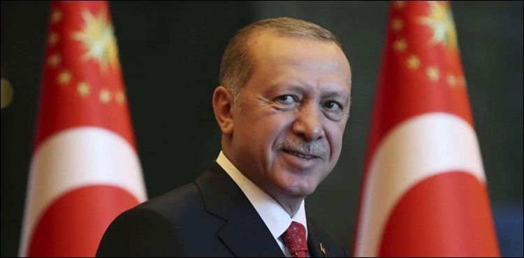 President Turk Erdogan announced early elections
