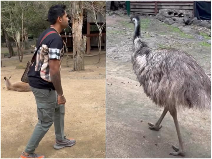 Suryakumar Yadav's unique style shows off ahead of home series against New Zealand, watch funny video


