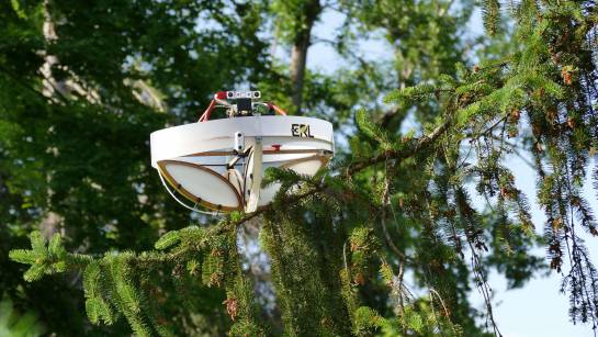 They create a drone that collects animal DNA from tree branches

