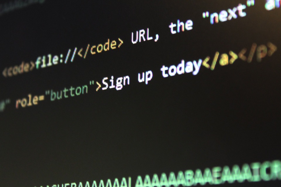 The Role of Automated Testing in Custom Web Application Development