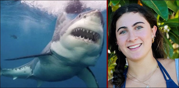 Girl gets eaten by killer shark in front of friends, heartbreaking incident
