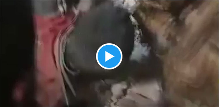 The Syrian child was pulled alive from the rubble, the video went viral
