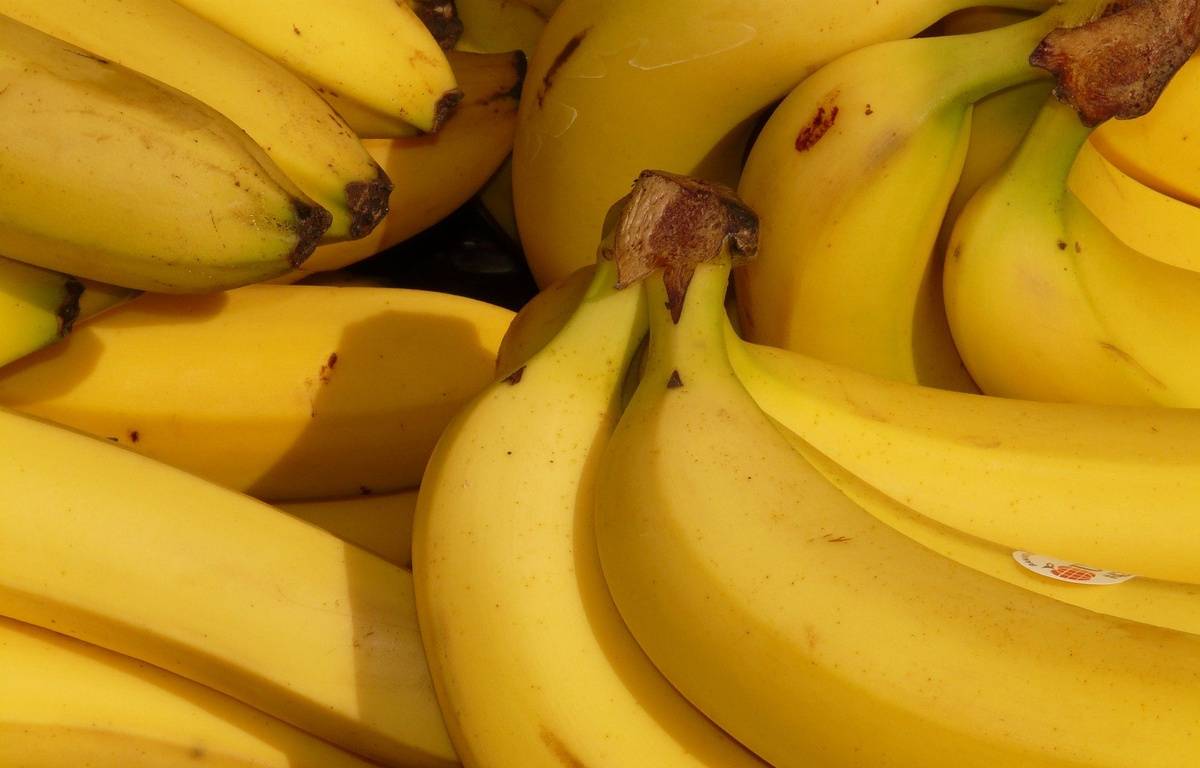He asks for a vegan meal during his plane trip and receives… a banana
