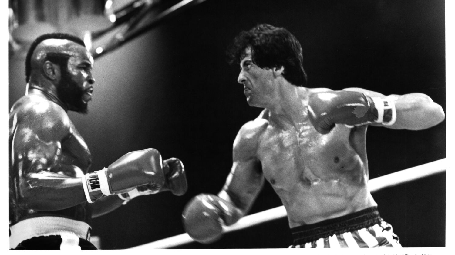 Music: the soundtrack of Sylvester Stallone's 