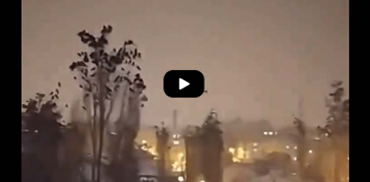 Video of birds before the earthquake in Turkey went viral
