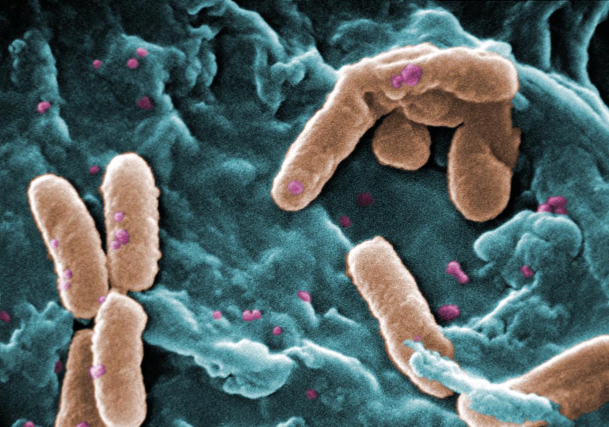 What do Keanu Reeves and these killer bacteria have in common?

