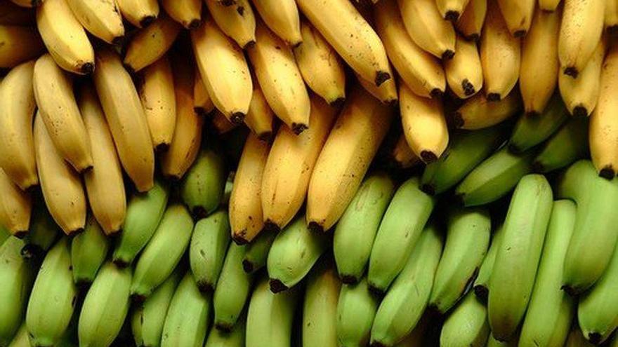 comer plátano, banano, potasio, deporte, fibra, musa paradisiaca, plátano