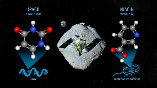 Detected a nucleic acid precursor on asteroid Ryugu

