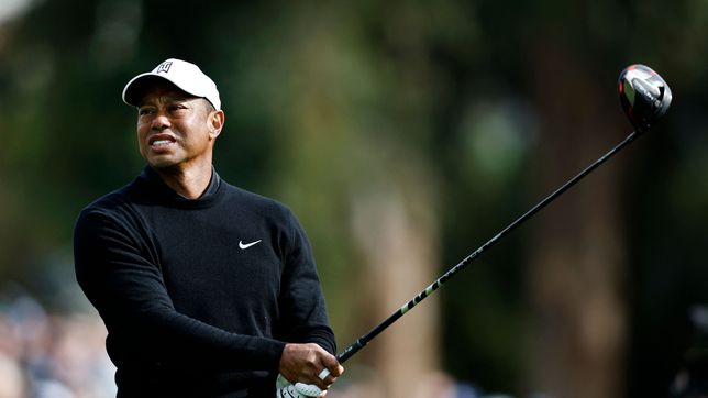 Tiger Woods teams up with an MLB star on a golf course
