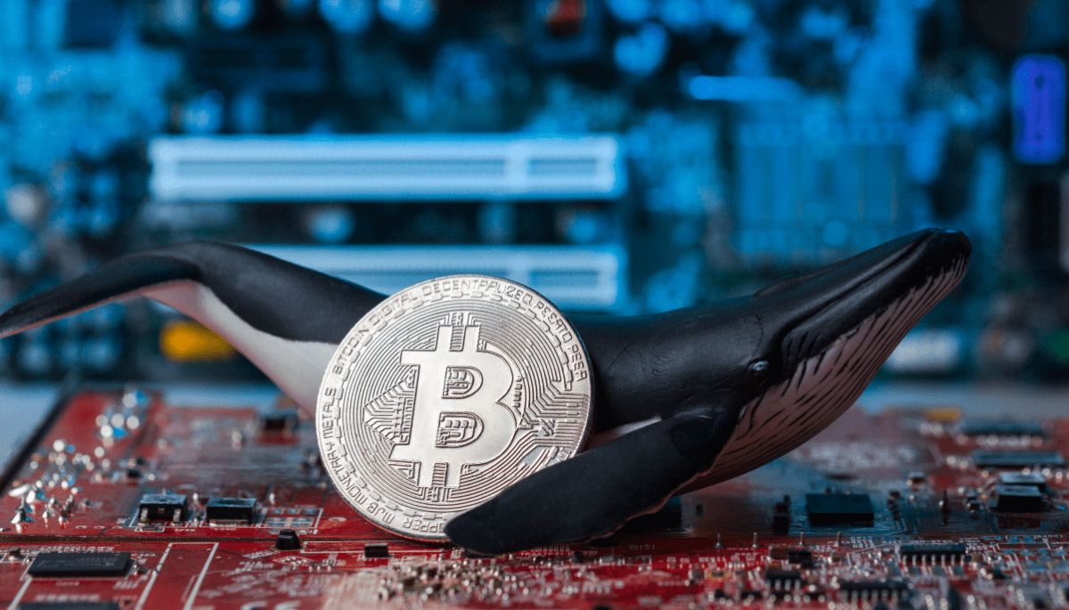 Bitcoin is becoming less and less dominated by whales
