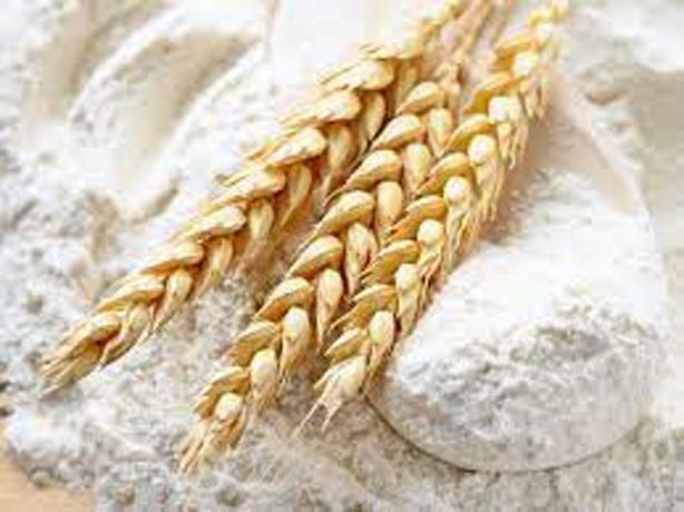Brazil approves the cultivation, import and sale of transgenic wheat


