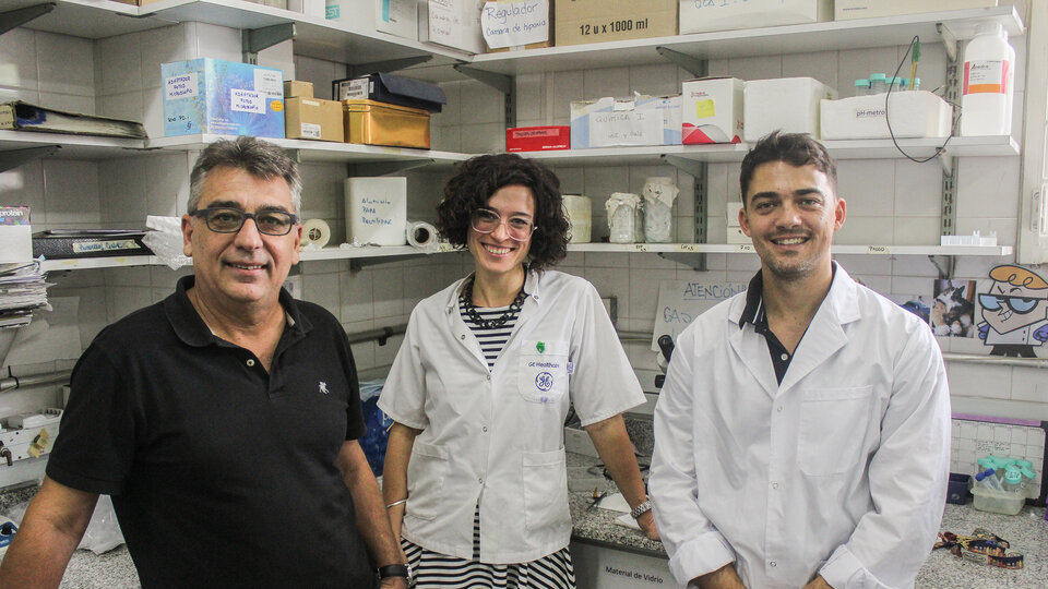 Repositioning of drugs for cancer treatment, a technique investigated by Argentine scientists 

