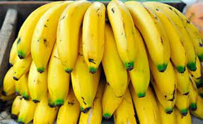 The country will welcome banana and coffee producers from Latin America in April

