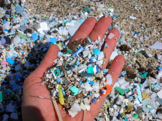Unprecedented rise in plastics in oceans since 2005

