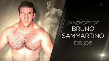 Bruno Sammartino, the longest reigning wrestler in WWE history. 