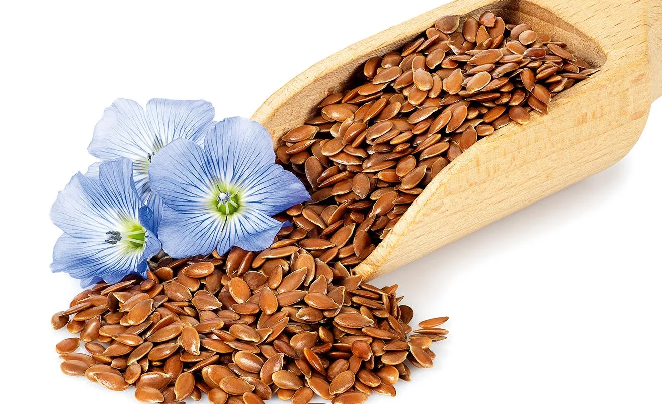 Flax Seeds: benefits, contraindications and how to consume correctly