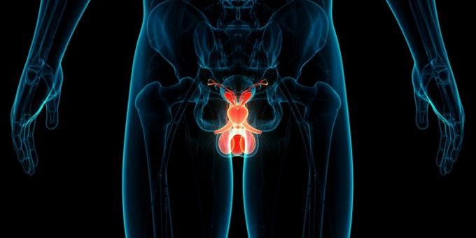 Médicos de AL experimentan con biomarcadores para atender cáncer de próstata