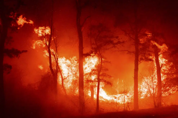 New Jersey pines catch fire: Big flames and rain of embers 

