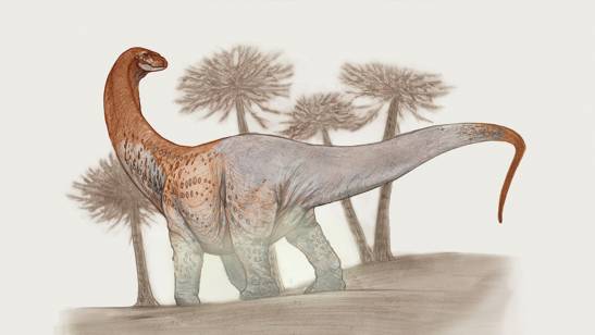 New species of giant dinosaur found in Patagonia

