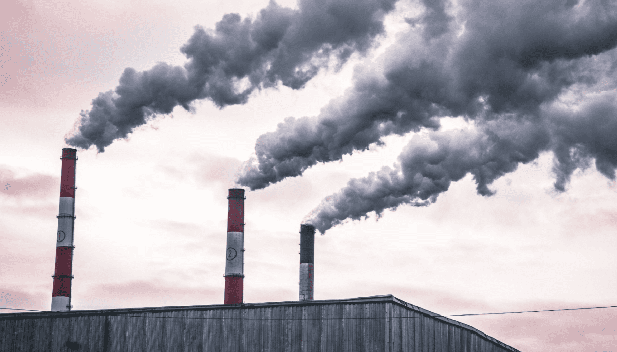 Accountancy giant launches carbon emissions monitor on Ethereum
