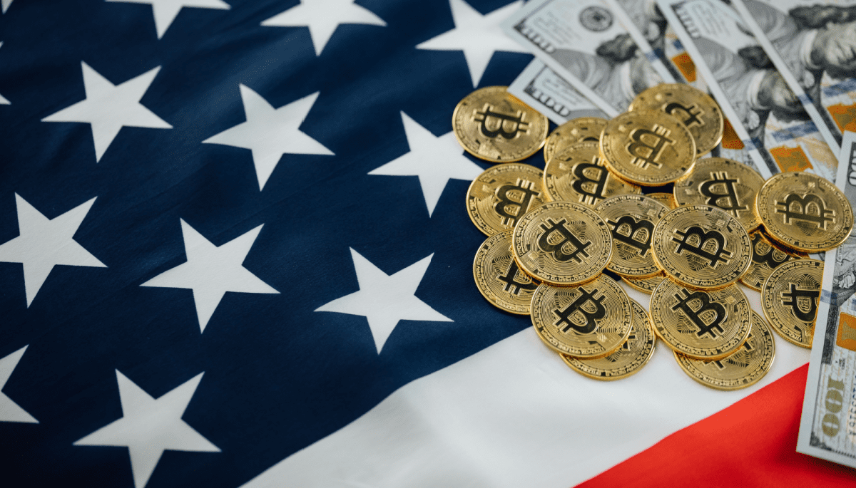 Number of US crypto owners fell sharply during bear market
