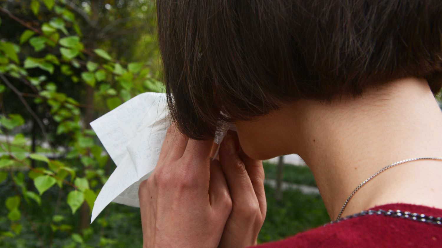Pollens: 81 French departments placed at high risk of allergies according to the national aerobiological monitoring network
