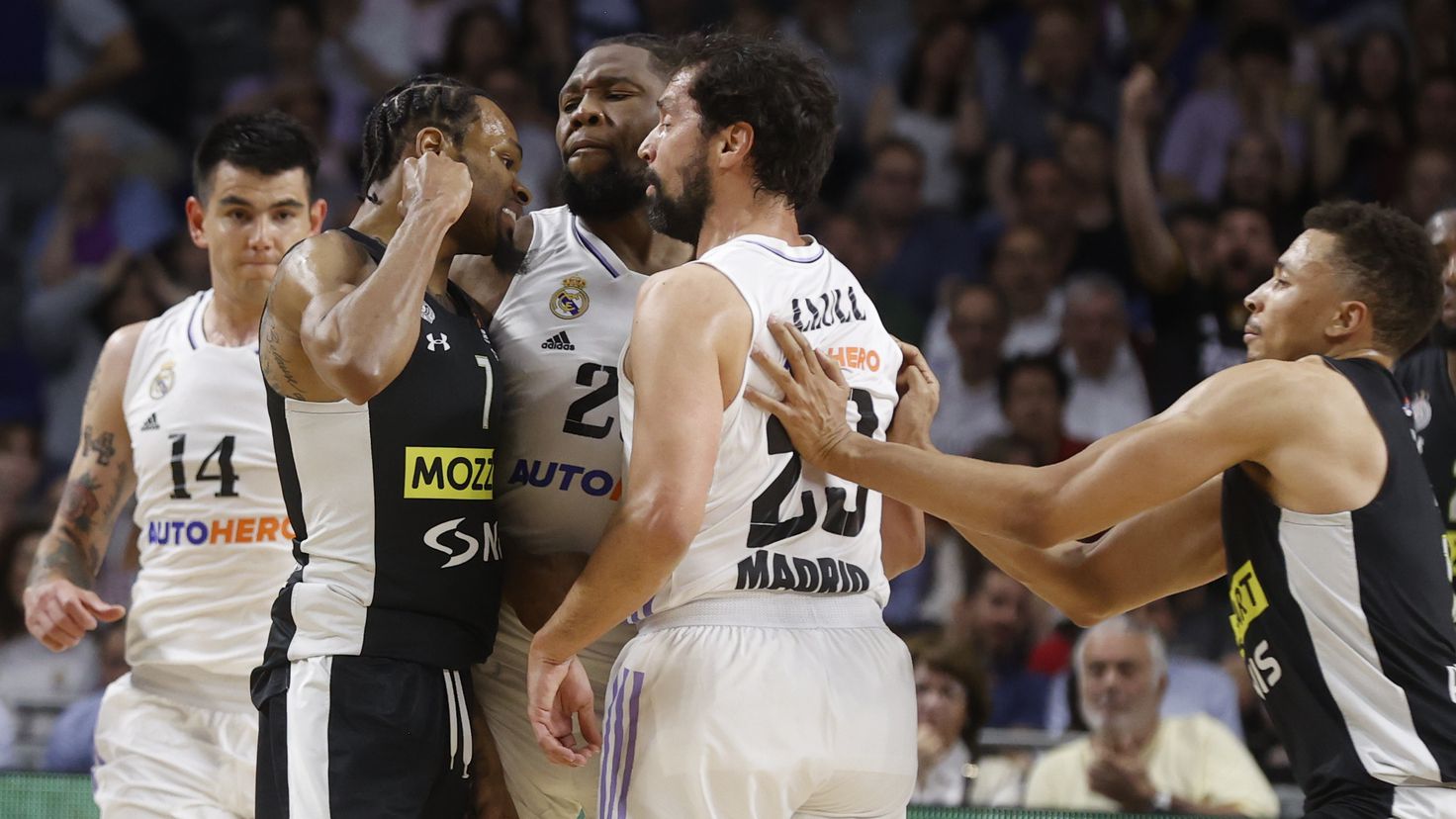 Punter and the Real Madrid Euroleague: 