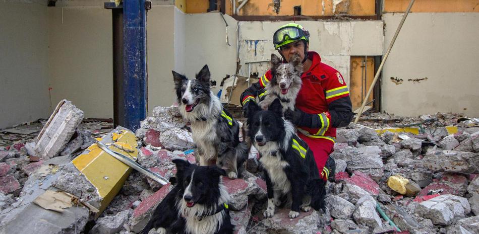 Rescue dogs are becoming more popular in Mexico due to earthquakes
