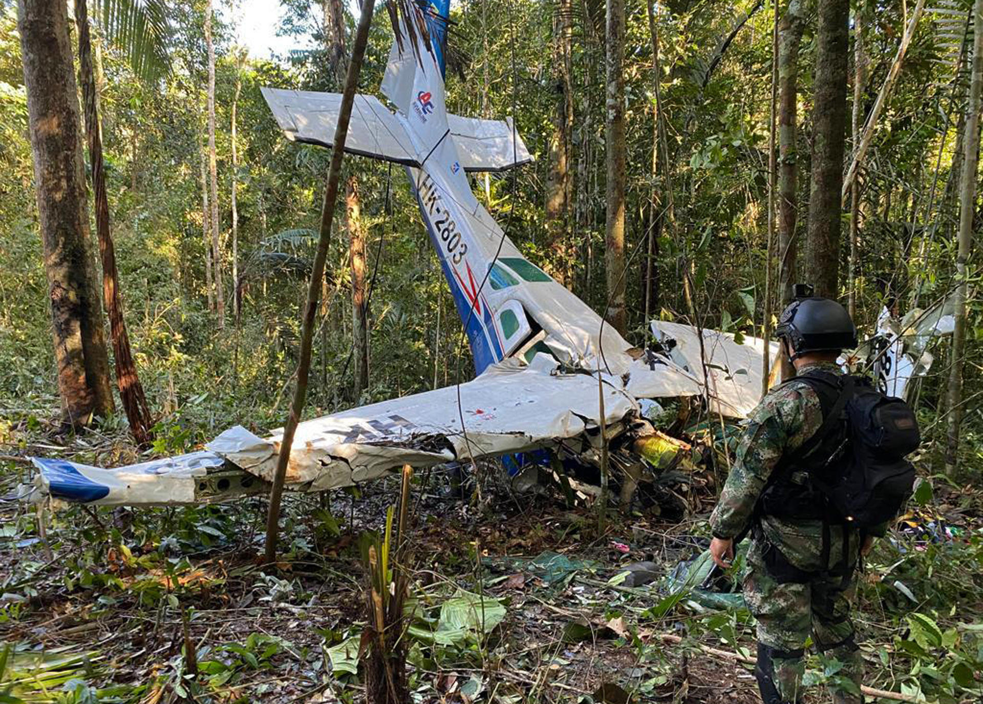 Photograph provided by the Colombian Army of the recovery efforts at the crash site of a small plane that fell in the middle of the jungle, on May 18, 2023, in Guaviare (Colombia).  BLAZETRENDS/Colombian Army