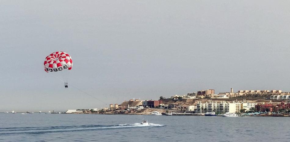 A shark kills a Russian off the Egyptian Red Sea coast
