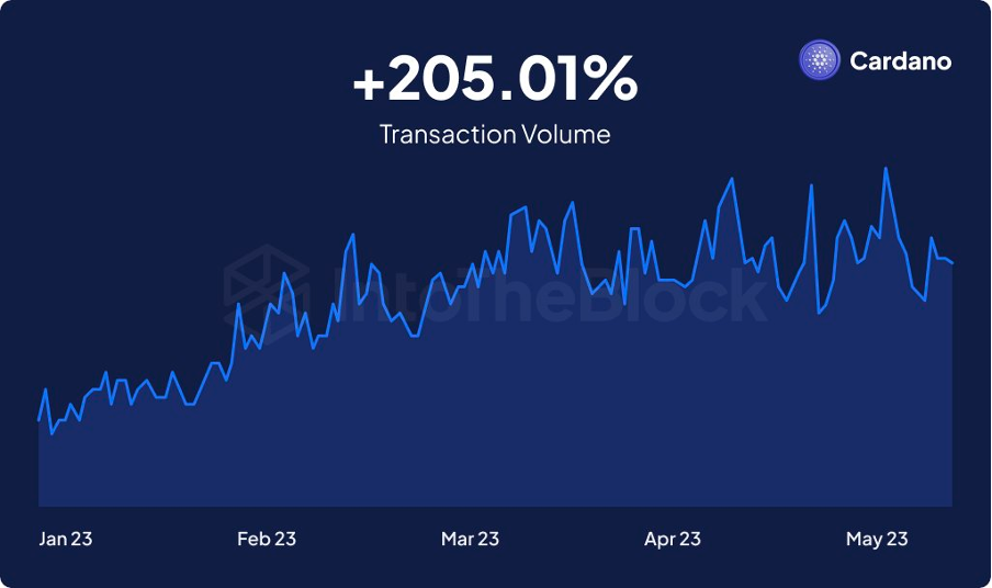 Growth in transaction volume on the Cardano network