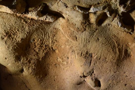 Discover Neanderthal rock engravings over 57,000 years old


