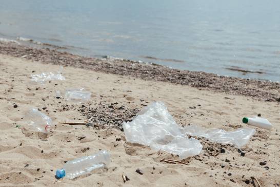 Marine litter is one of the main threats to ocean conservation

