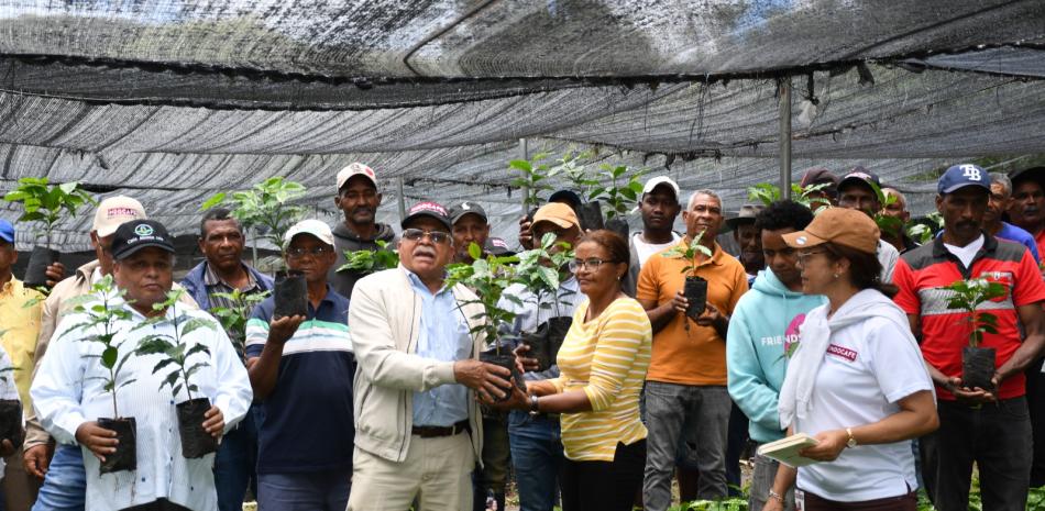 Two million coffee plants are distributed in productive areas
