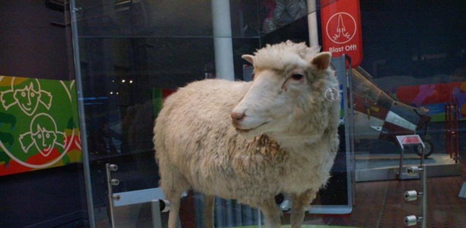 The 27th anniversary of Dolly the sheep, the first cloned animal