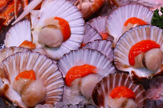 Human-raised shellfish are more resistant to extinction

